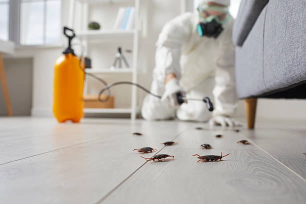 Commercial Kitchen Cockroach Control in Great Falls Crossing